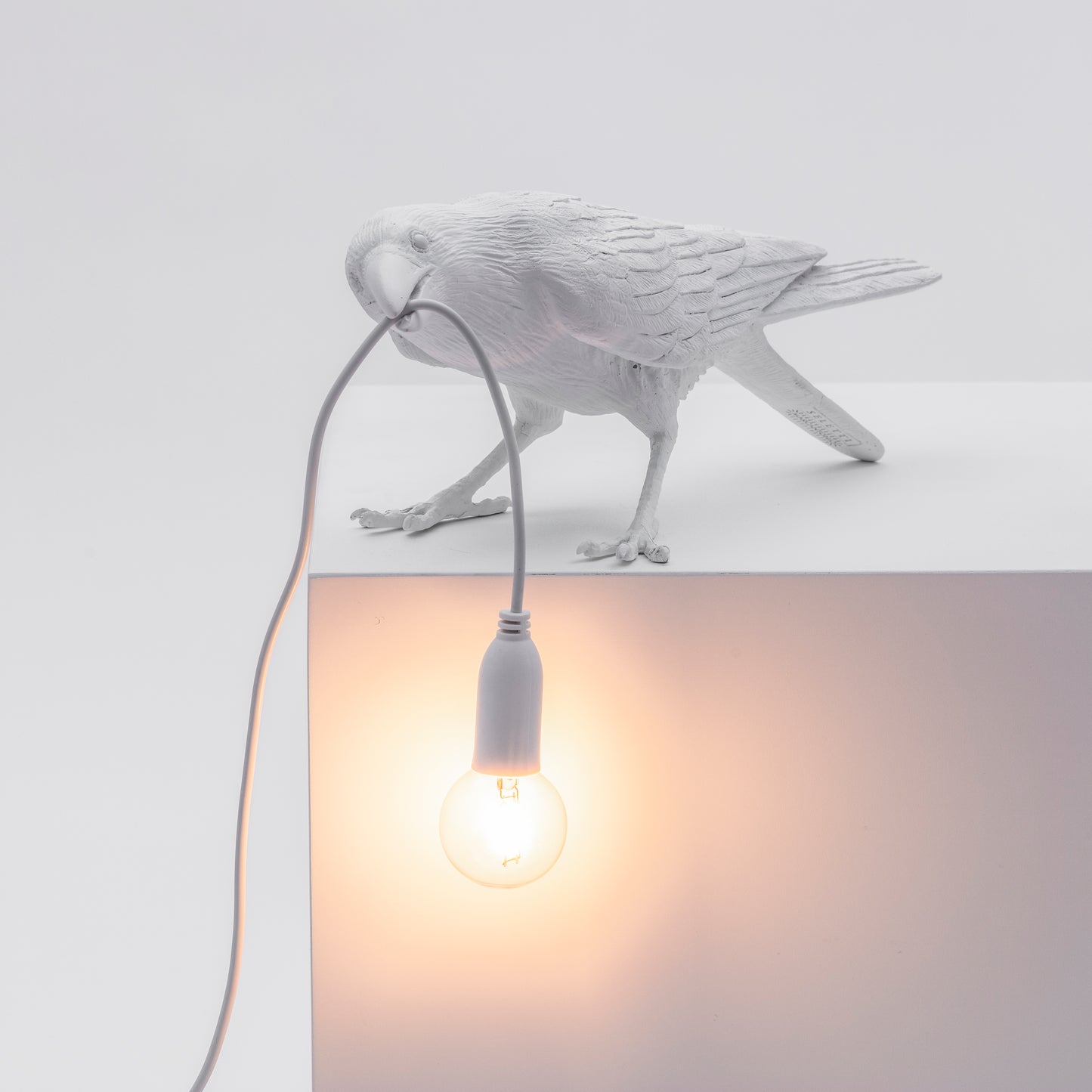 Bird Lamp White Playing
