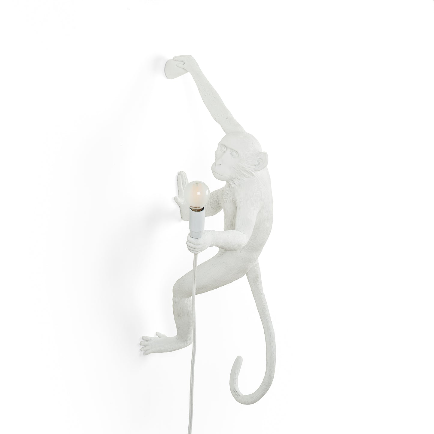 The Monkey Lamp Hanging Version Right Indoor