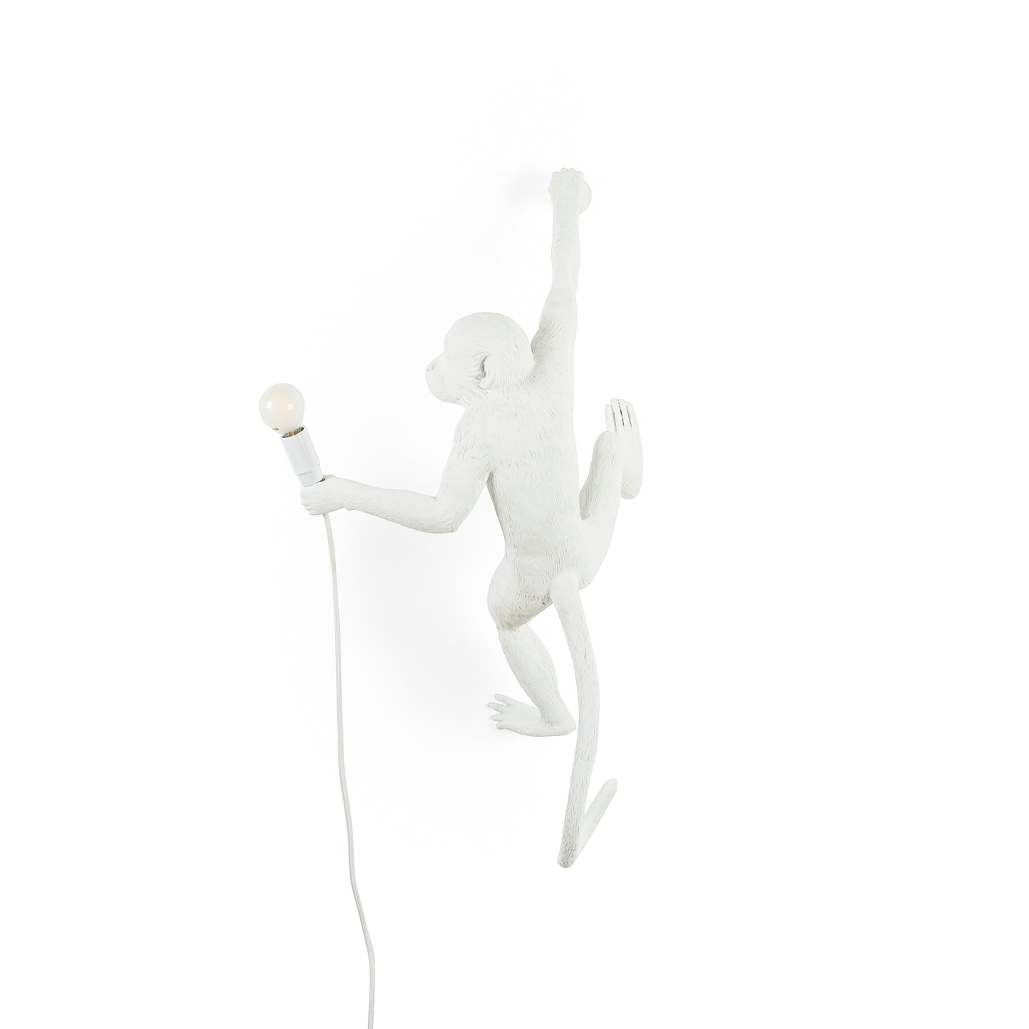 The Monkey Lamp Hanging Version Right Indoor