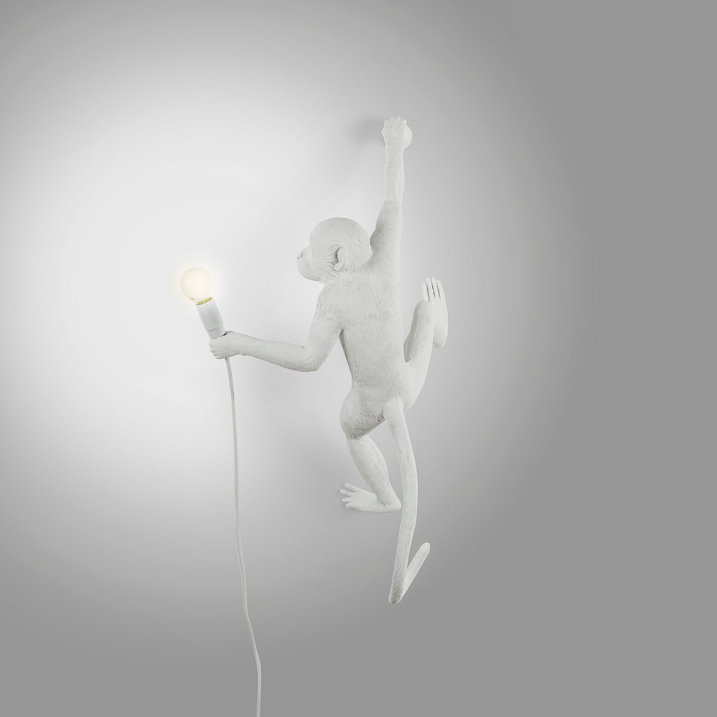 The Monkey Lamp Hanging Version Right Indoor