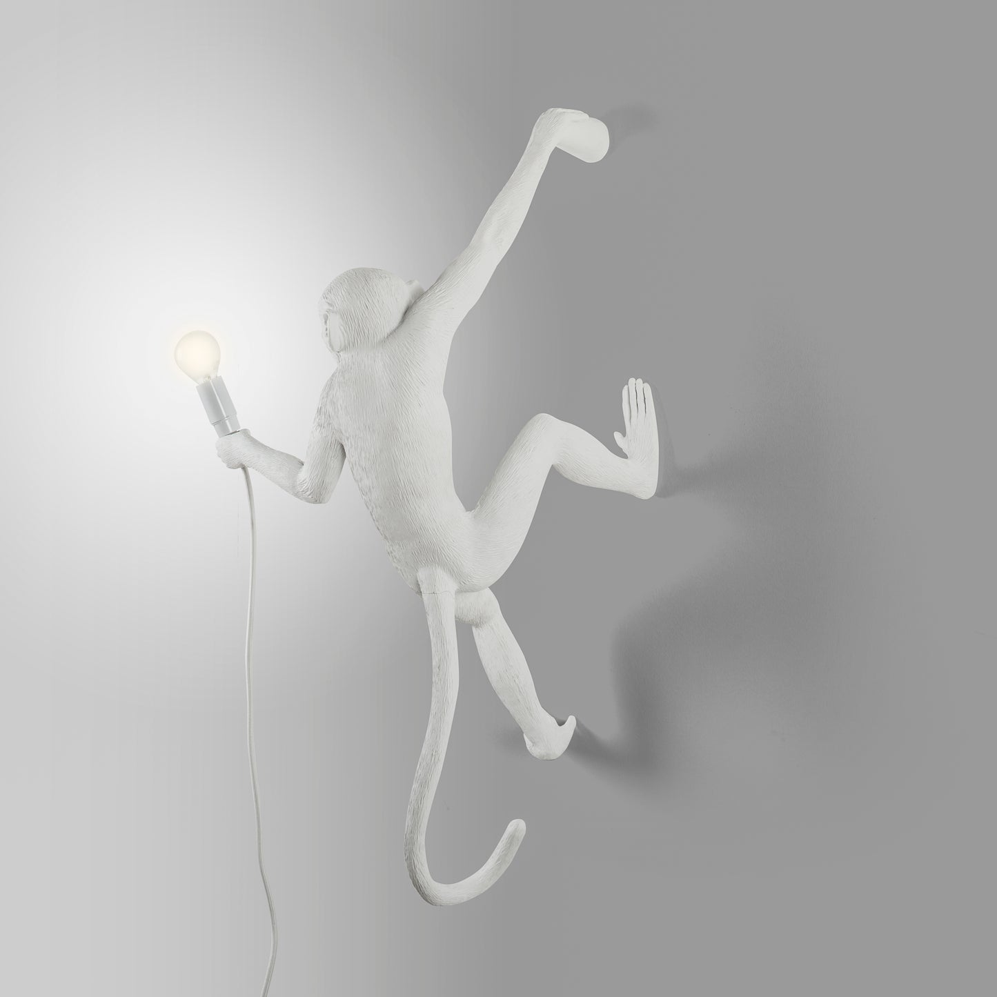 The Monkey Lamp Hanging Version Right Indoor