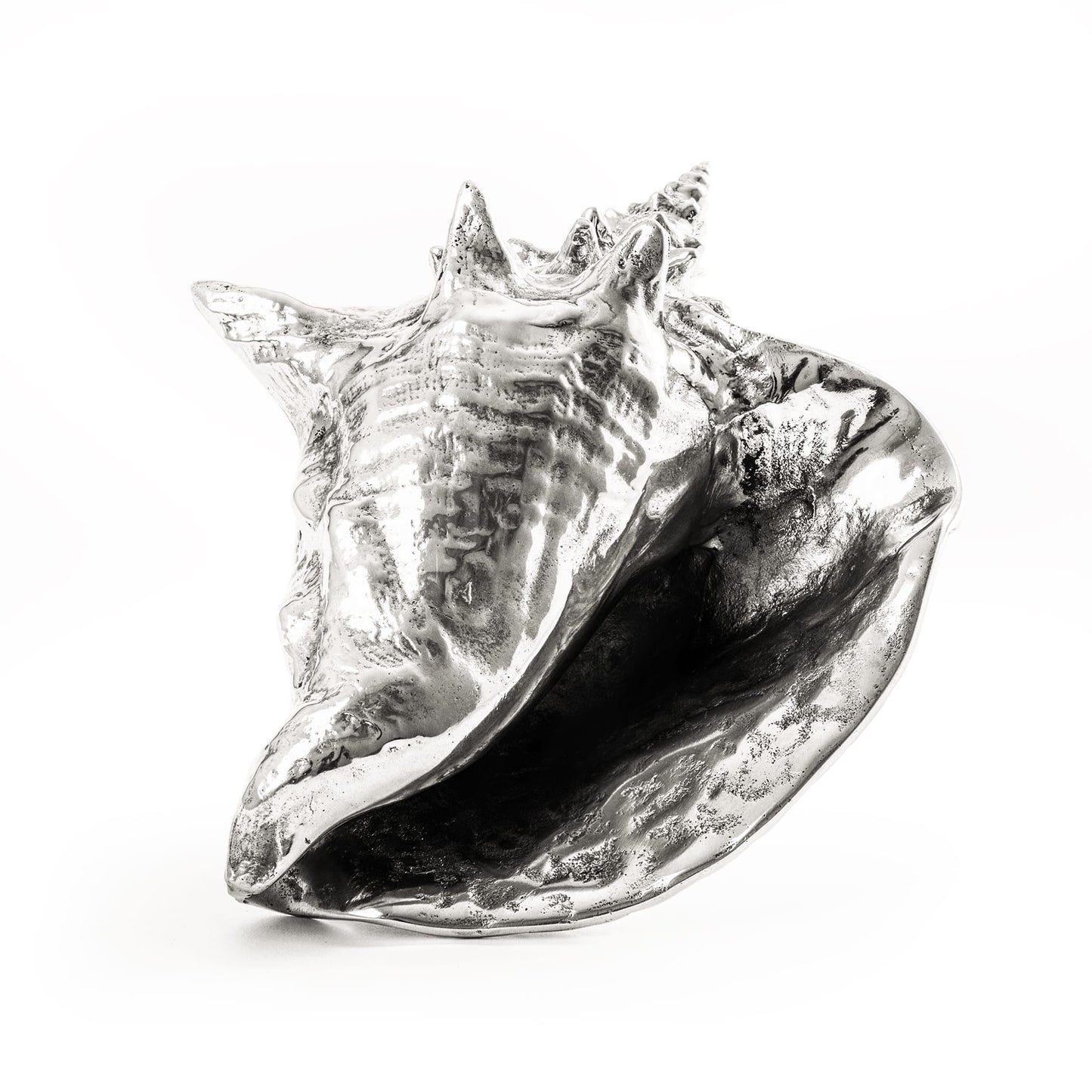 Wundekammer Shell