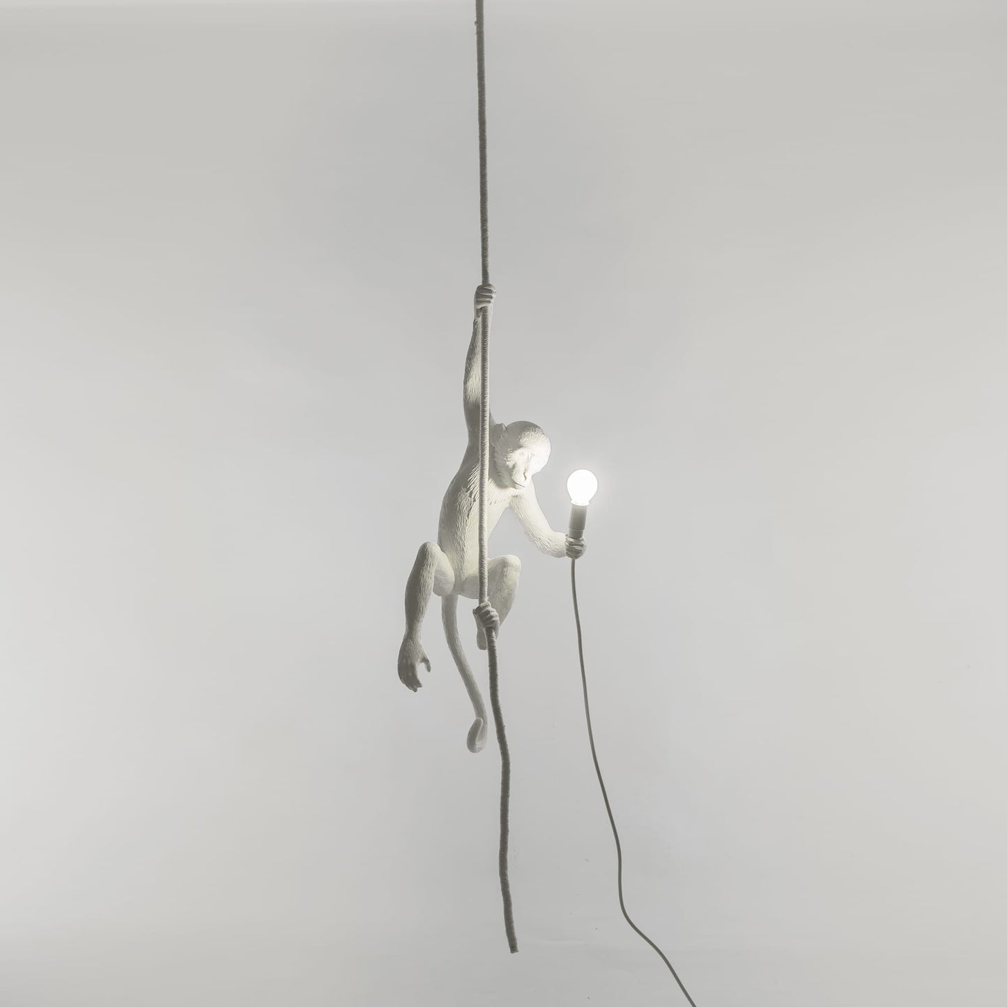 The Monkey Lamp Ceiling Version