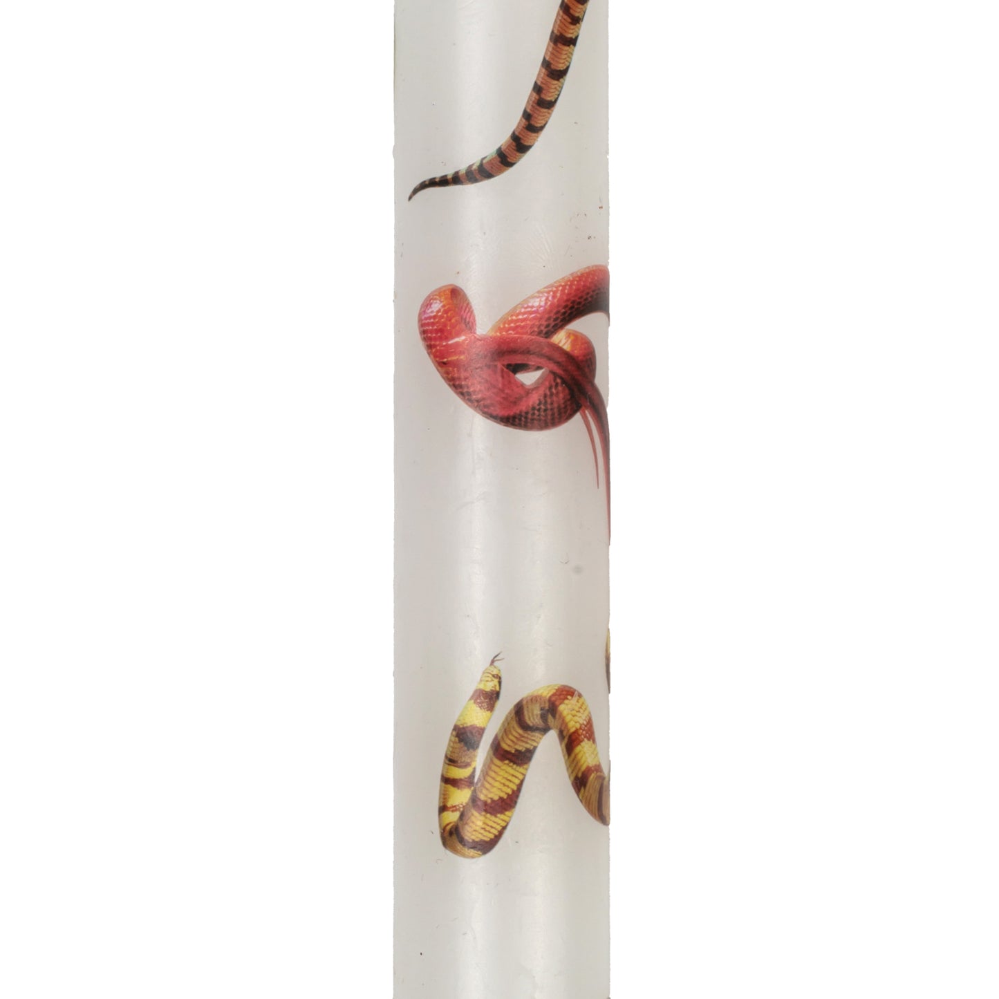 TOILETPAPER Set of 2 Stem Candles SNAKES WHITE