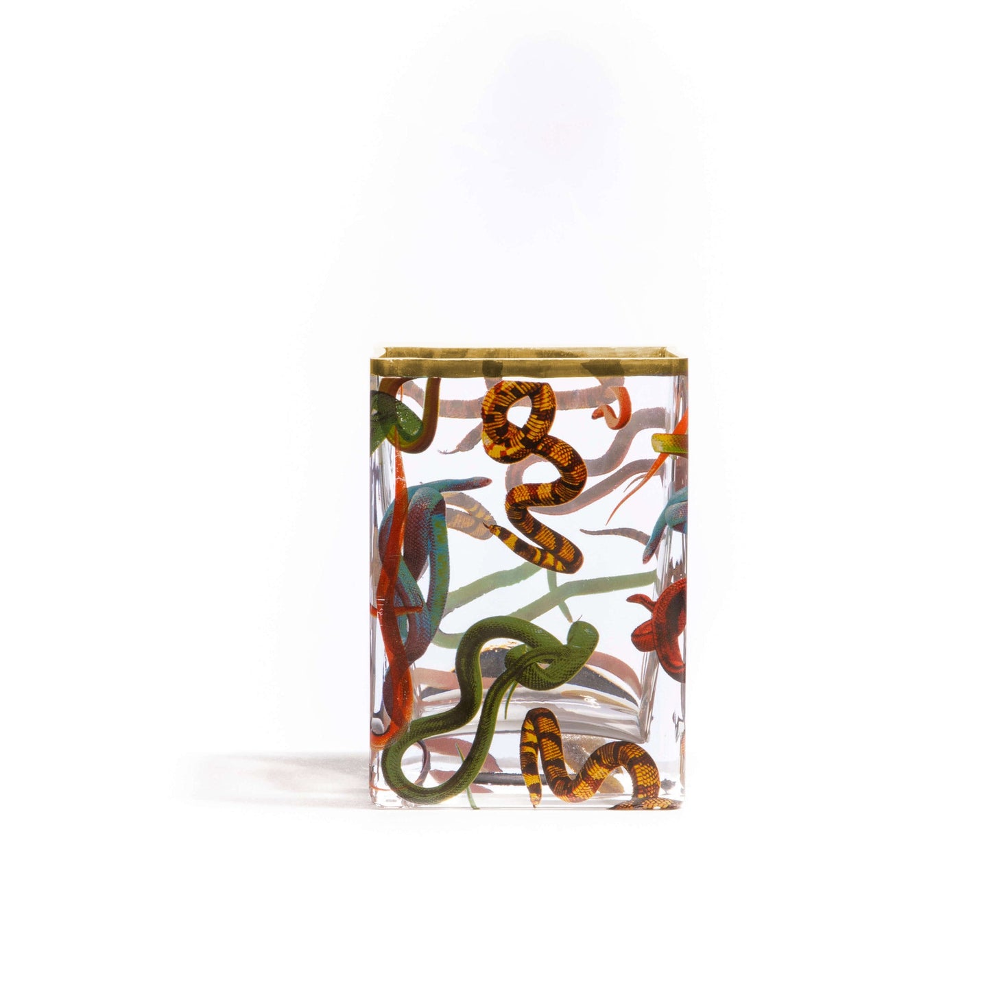 Glass Vase Snakes