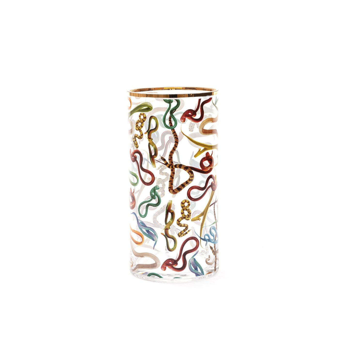 Glass Vase Snakes Cylindrical medium