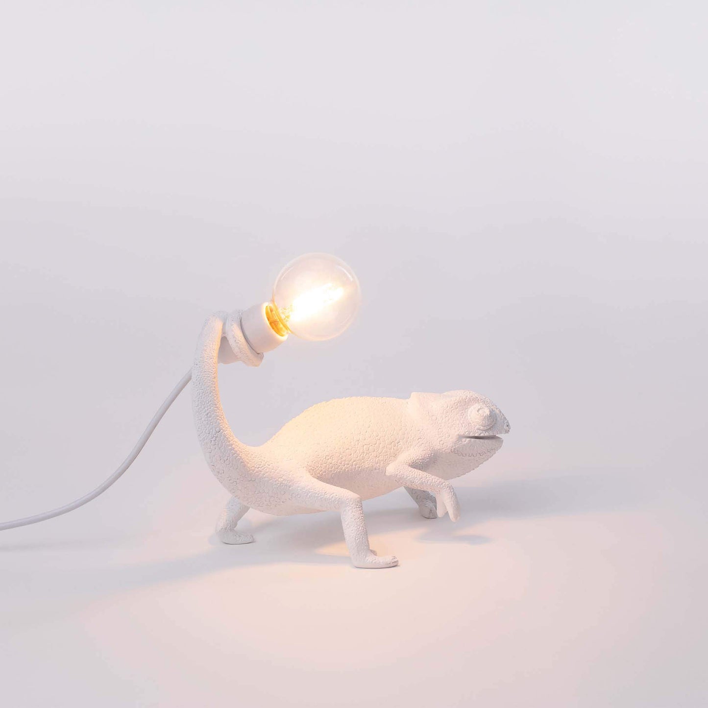 Chameleon Lamp Still