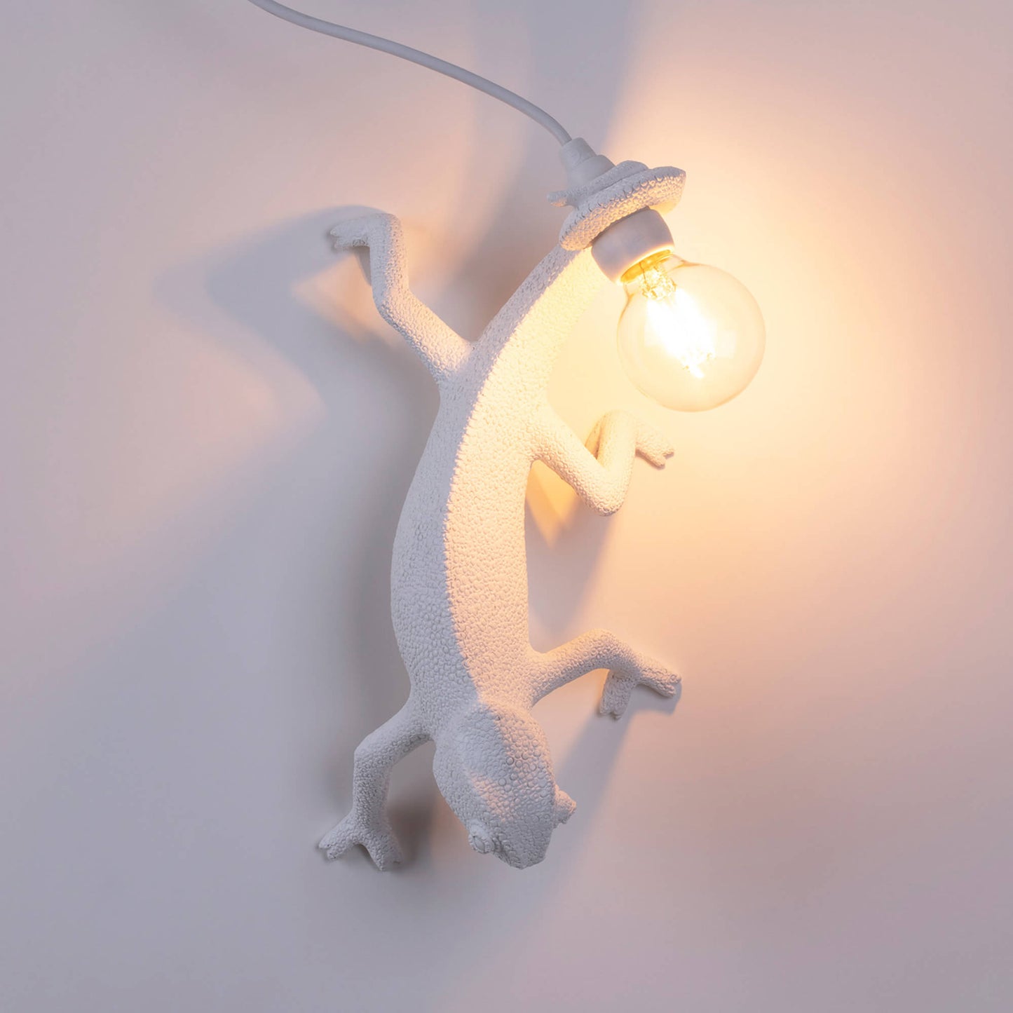 Chameleon Lamp Going Down