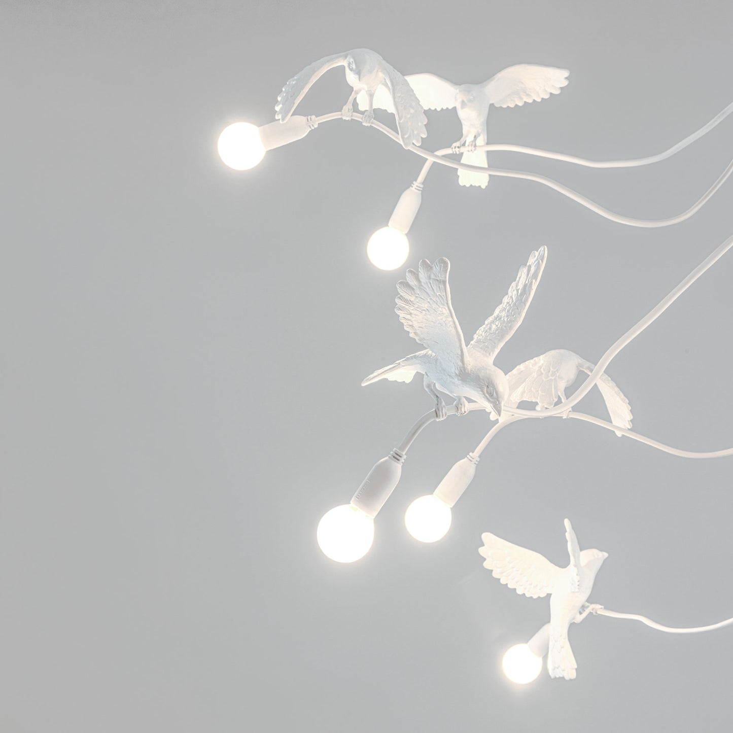 Sparrow Chandelier