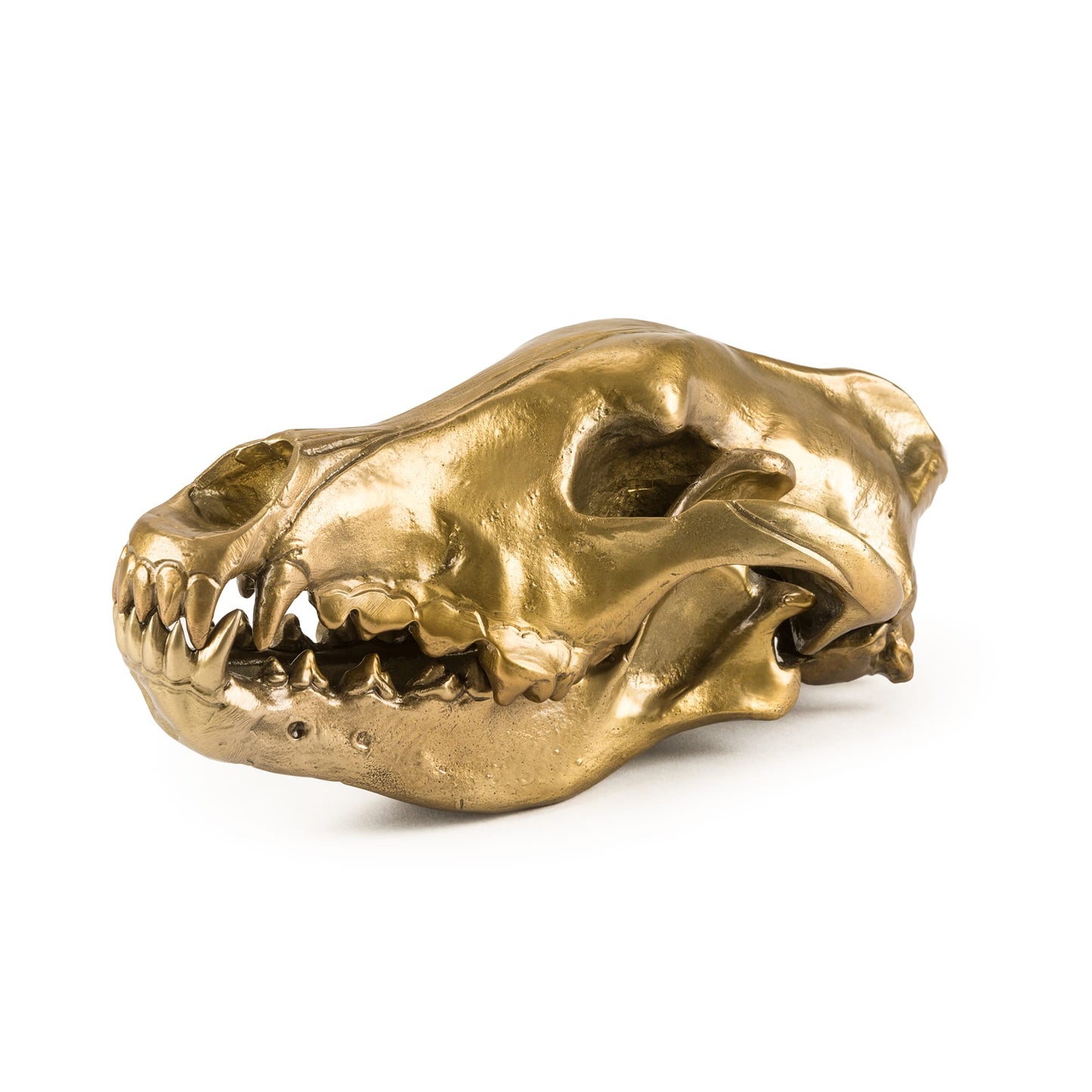 Wunderkrammer Wolf Skull