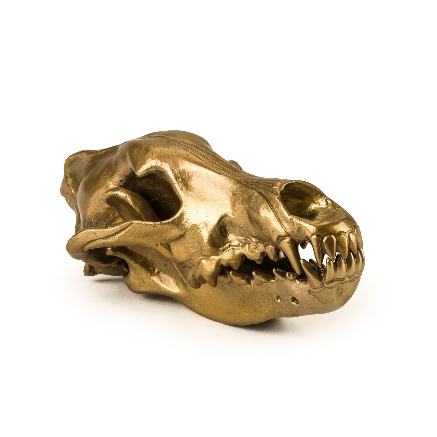 Wunderkrammer Wolf Skull