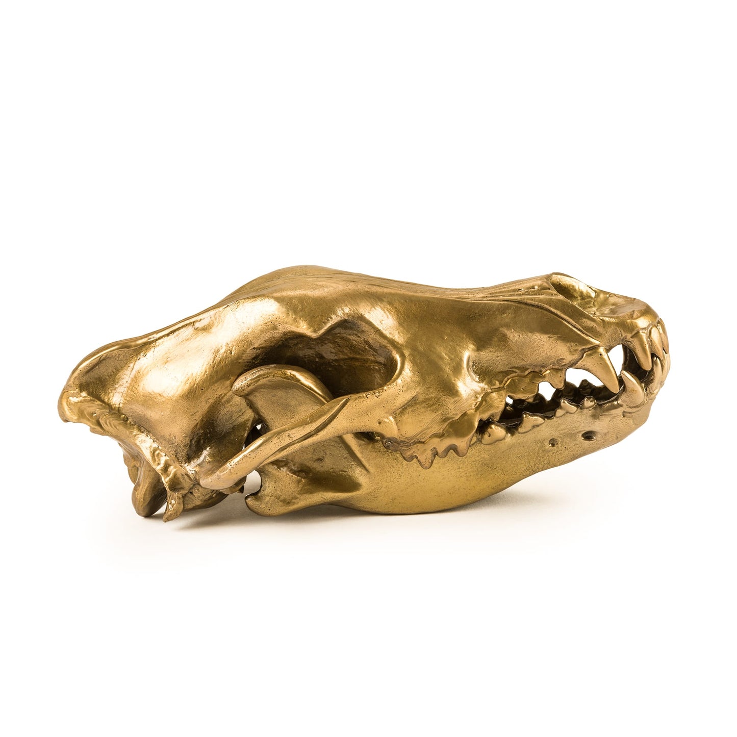 Wunderkrammer Wolf Skull