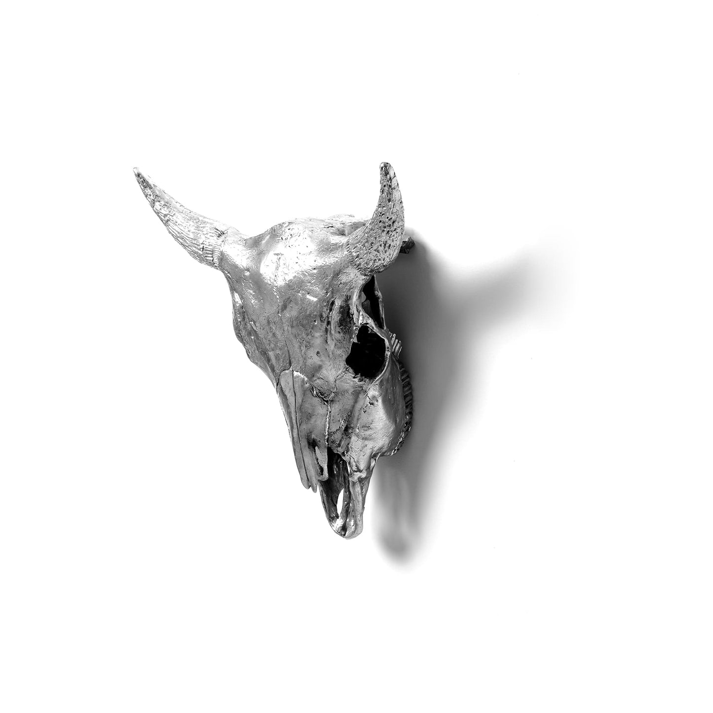 Wunderkammer Bison Skull