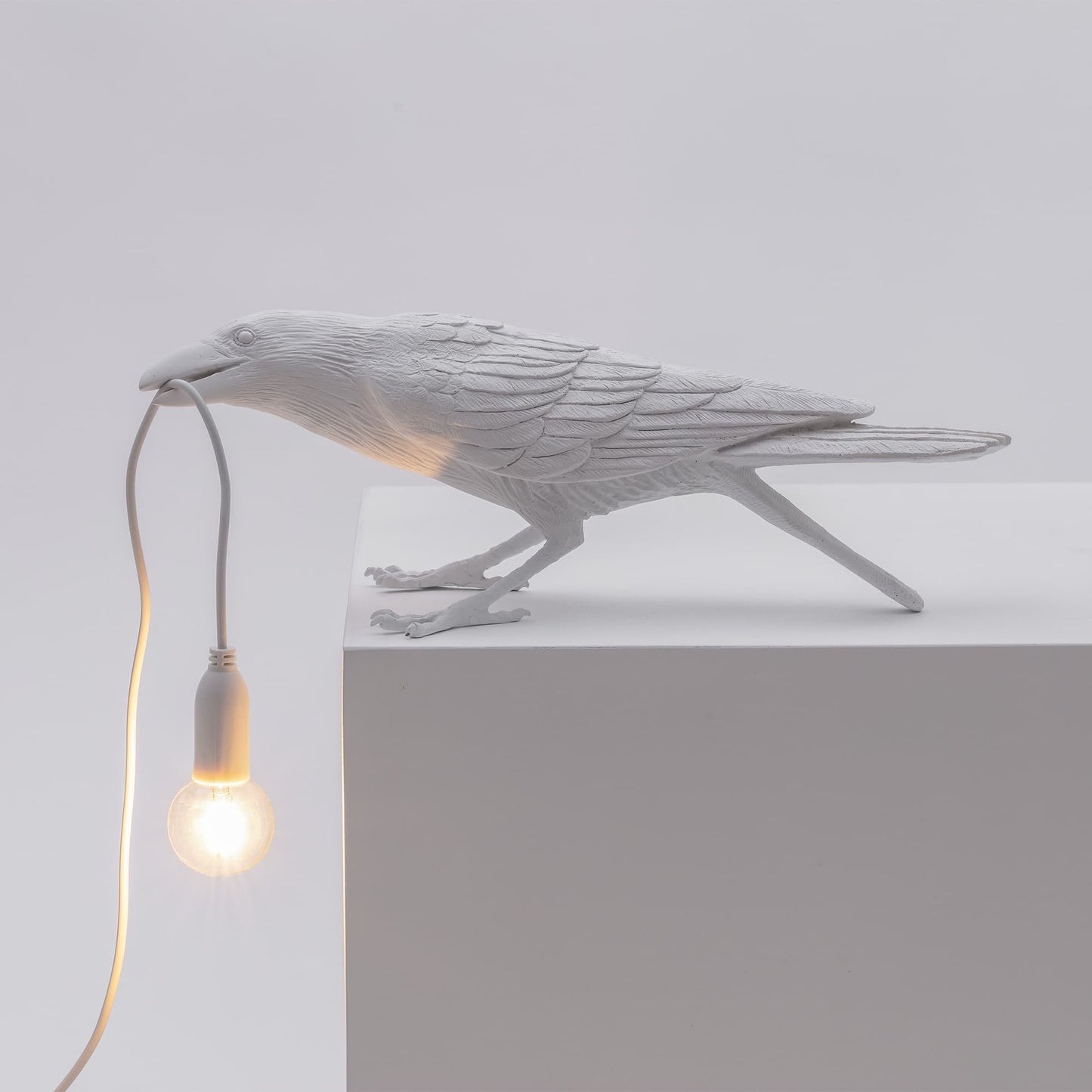 Bird Lamp White Playing