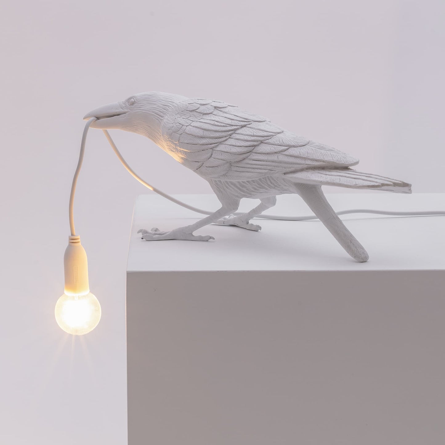 Bird Lamp White Playing