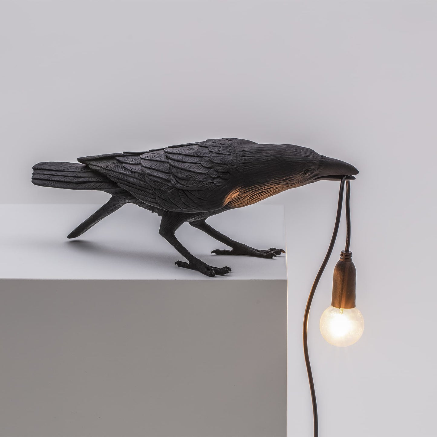 Bird Lamp Black Playing