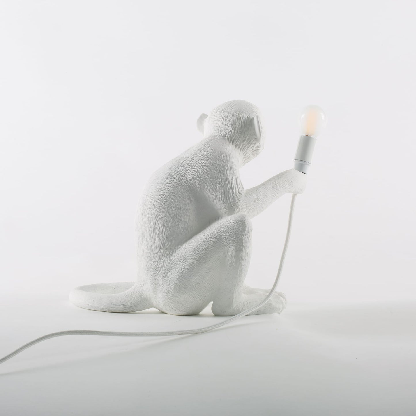 The Monkey Lamp Sitting Version