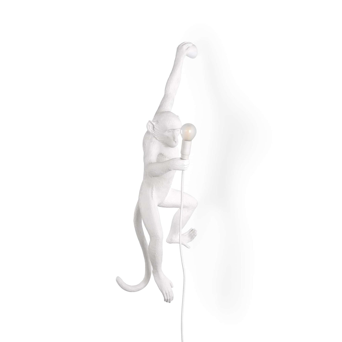 The Monkey Lamp Hanging OUTDOOR Version Left