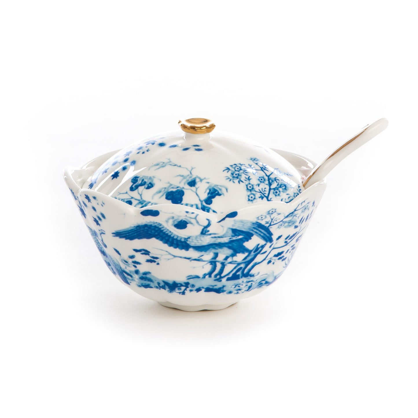 Hybrid Sugar Bowl Maurilia