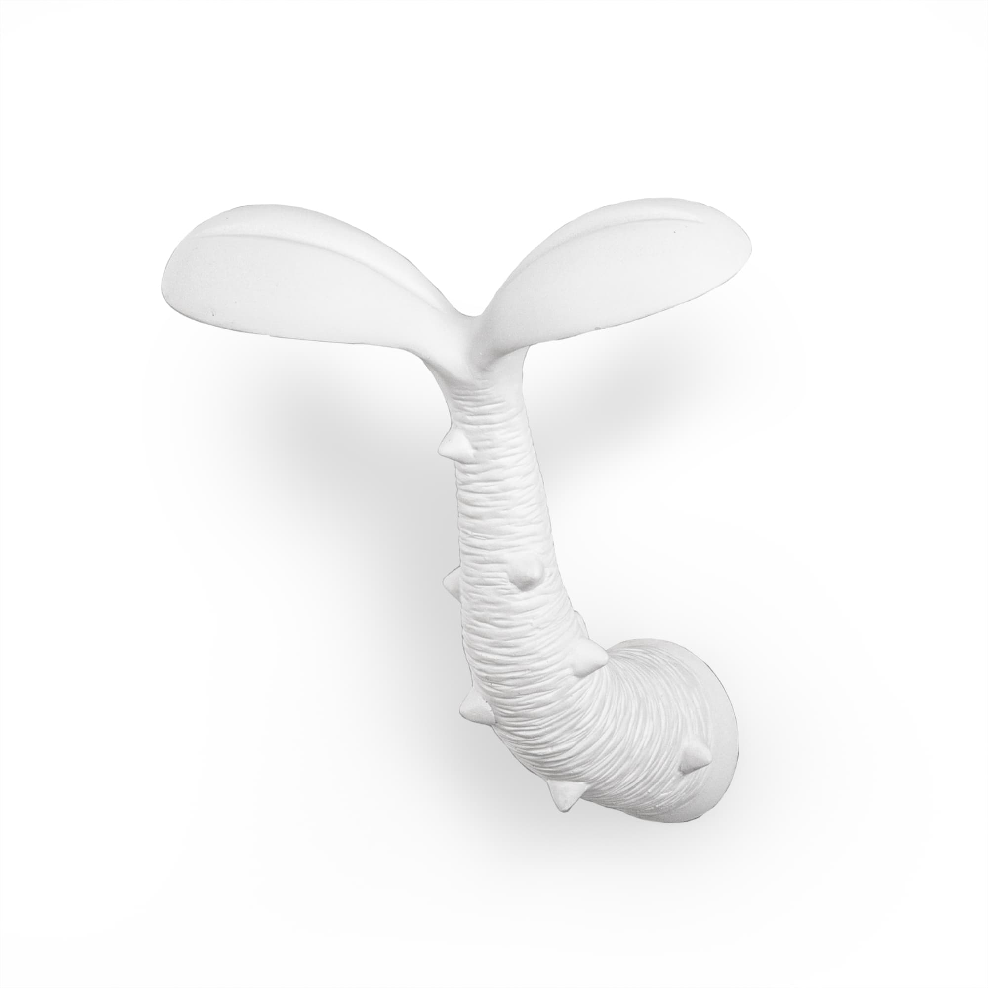 Last Chance – SELETTI USA